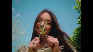 Coral Moons – Made Up My Mind