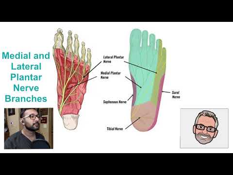 The PODdoctors: Tarsal Tunnel Syndrome. - #11