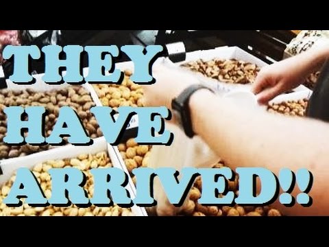 FINALLY THEY HAVE ARRIVED!
