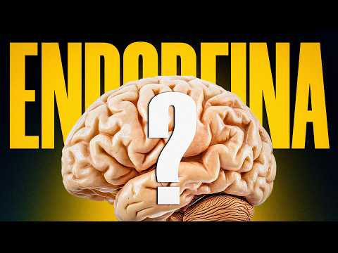 Como a Endorfina Age no Seu Cérebro?