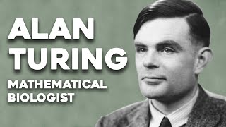 The Turing Pattern Project