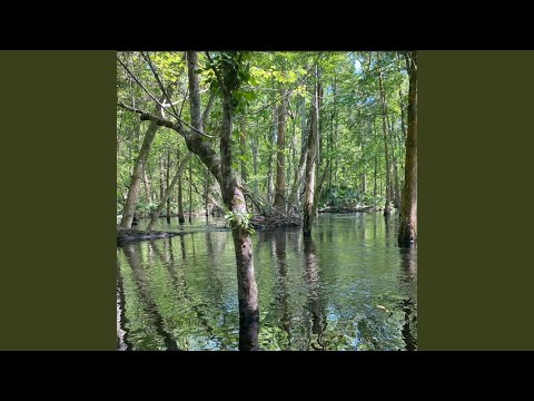 You Have Angered the Gods