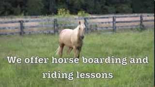 preview picture of video 'Pathfinder Stables - Dayton Ohio Horse Boarding'