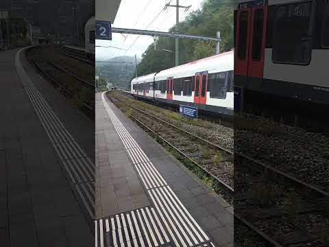 #basel #bahnhof #grellingen #sbb S3 13:33 Grellingen 17.9.2024