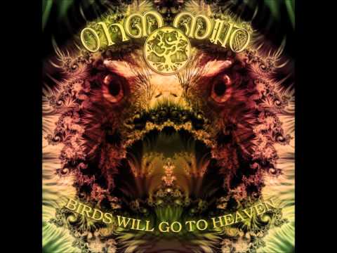 Ohm Mind - Birds Will Go To Heaven [Full Album]