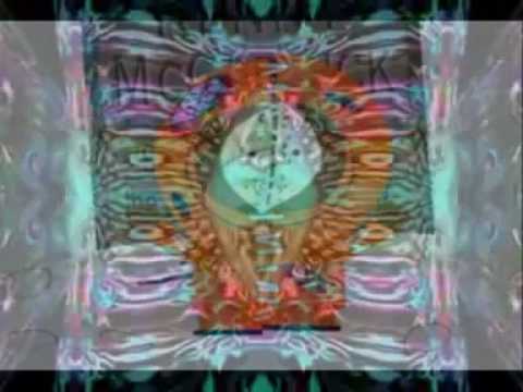 terranoise vs ankur die hippie die