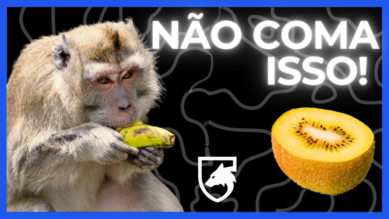 QUAIS VEGETAIS PODEMOS COMER NA NATUREZA?