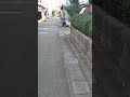Tante Jepang Disiang Hari
