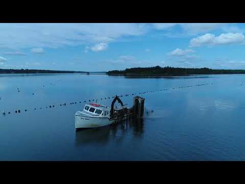 Above PEI -  Aquaculture Industry