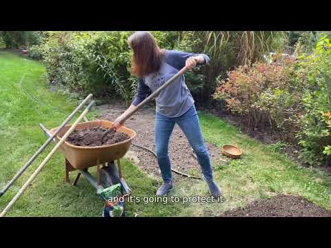 How to Plant Grass Seed