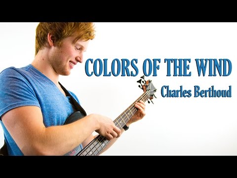 "COLORS OF THE WIND" - Solo bass tapping by Charles Berthoud