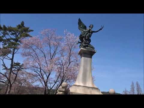 240410再度公園の外国人墓地