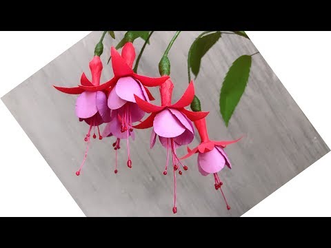 ABC TV | How To Make Fuchsia Paper Flower With Shape Punch - Craft Tutorial