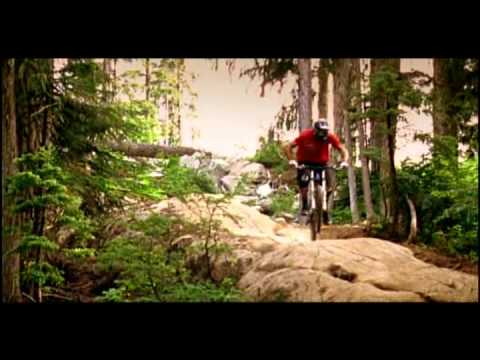 New World Disorder MTB