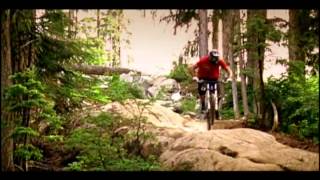 New World Disorder MTB
