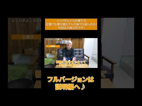 優れた懸濁液を作成する、メンテナンスなしでポットに入れられたキンレンカの屋外植物は何ですか