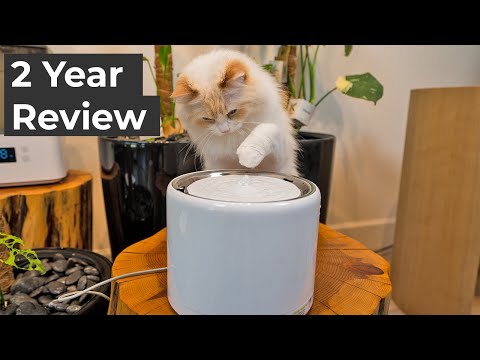 PETKIT Eversweet Pro 3 Wireless Water Fountain Review | The Cat Butler