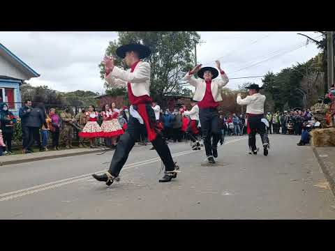 Ballet Calfu Rayen - El Chincolito