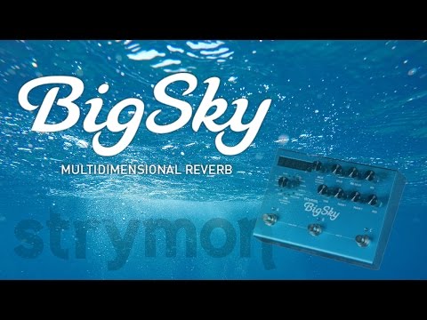 Strymon Big Sky Ambient Pedal image 3