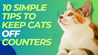 😻 10 Simple Tips To Keep Cats Off Counters 💯😸