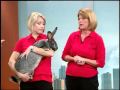 A Warm And Fuzzy Visit From Busch Gardens