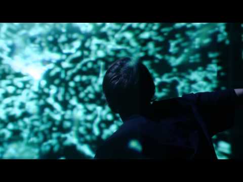 Wolf Colony - Brown Eyes (Official Video)