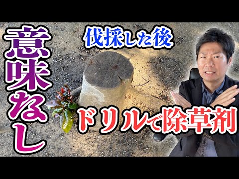 園芸 プーラーを使って木や切り株を引き抜くにはどうすればよいですか?