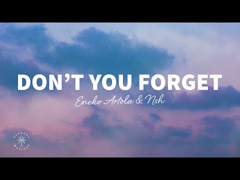 Eneko Artola & NSH - Don’t You Forget (Lyrics)