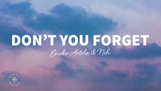 Musik-Video-Miniaturansicht zu Don't You Forget Songtext von Eneko Artola & N!SH