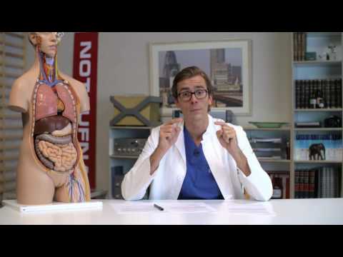 MRSA - Ein Krankenhauskeim