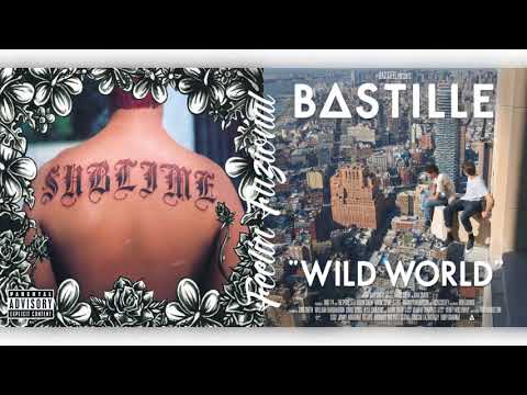 Bastille x Sublime - Snakes Don't Caress Me Down (Mashup)