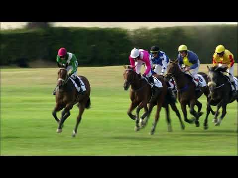 PE, 18. 8. 2018, 4. dostih - Cena CHOVSERVIS a.s., Hradec Králové