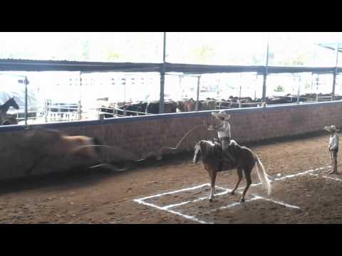 Pial  de  Enrique  ramirez . Millonario  silao