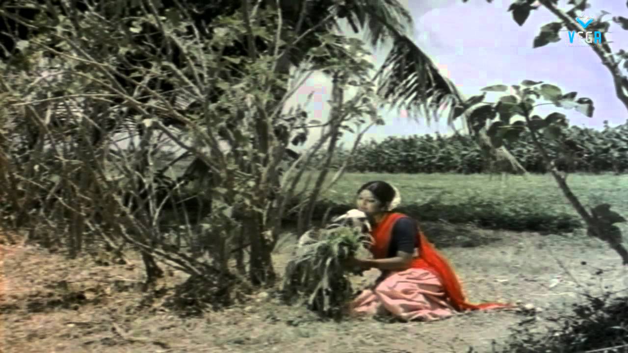 Aathoram Sevvanthi Song Lyrics | Mull Illatha Roja | S. Janaki