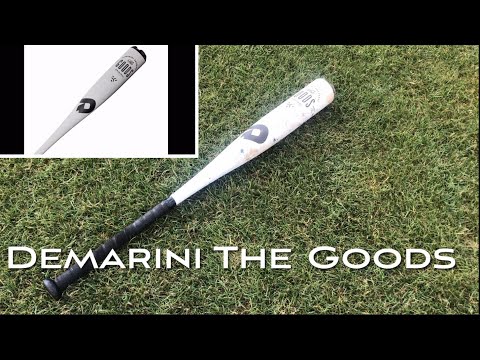 11u Player Hitting BOMBS with the 2021 The Goods Bat | DeMarini The Goods Bat Review