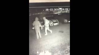 Vandals smash windscreens in Torquay