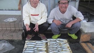 preview picture of video '船釣り伊万里湾にてサビキでアジ狙い【つり具のまるきん釣り情報】'