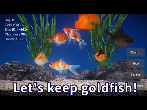 Goldfish 3D Relaxing Aquarium