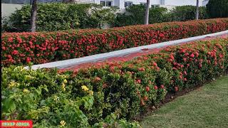 Download lagu DERRlCK WANT TO GO VISIT PLANKA B0$S mp3 Download lagu DERRlCK WANT TO GO VISIT PLANKA B0$S mp3