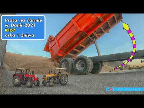 Praca na Farmie w Danii odcinek 167 orka i jeszcze żniwa