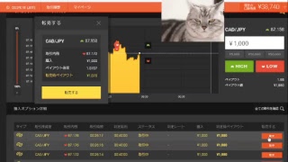 【FX】1万円から始める為替取引【BO】51