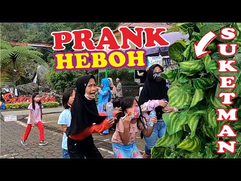 pohon-unik-di-baturraden-prank-manusia-pohon