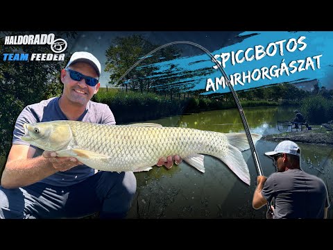Sipos Gábor - Spiccbotos amurhorgászat