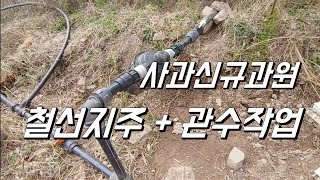 사과 신규과원 철선울타리 지주 철선. 관수 나홀로 작업