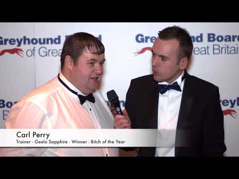 ‪Bitch of the Year 2017- Geelo Sapphire