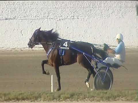 Trotto 28/09/2018 - 5ª corsa