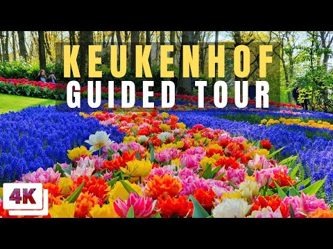 Keukenhof Full Guided Tour