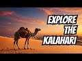 Discover The Wonders Of The Kalahari Desert