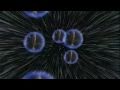 What The Bleep Do We Know 4minutes TRAILER