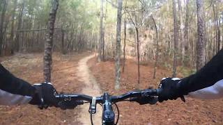 Riding Harris Lake Beginner and Intermediate Trails